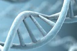 ddos在线攻击平台